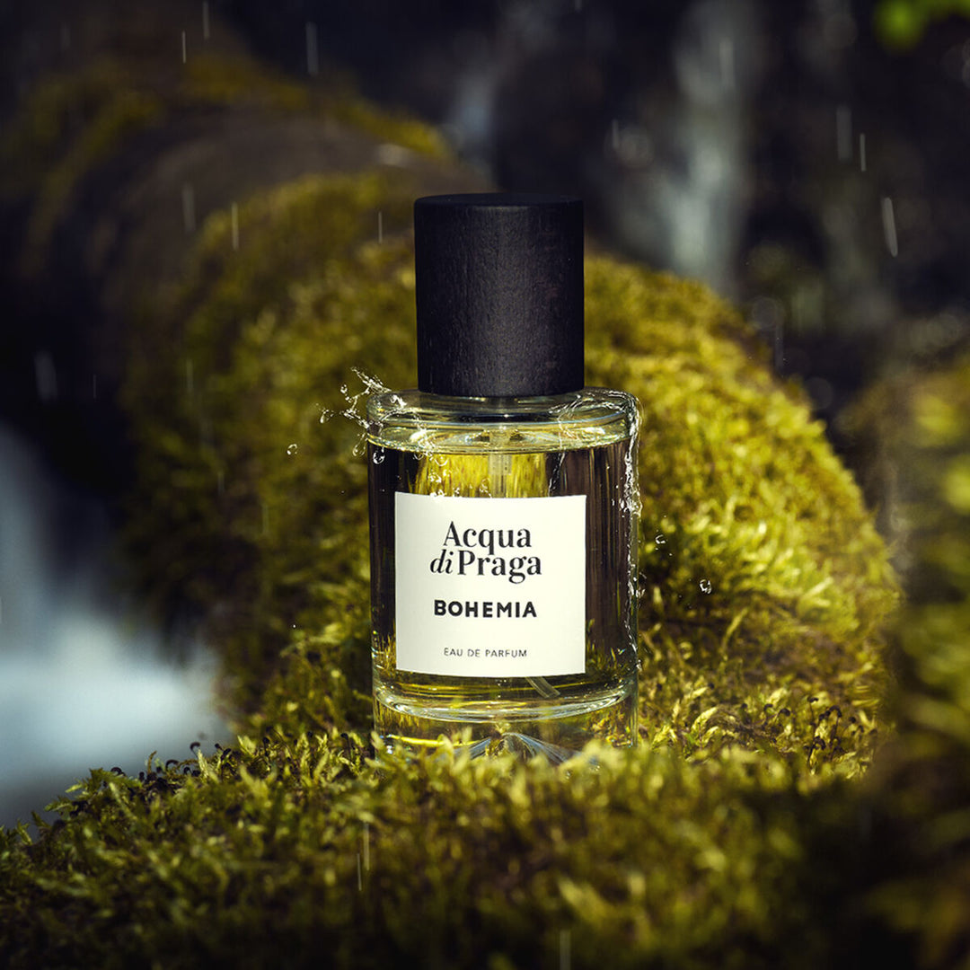 V6HB23D9708805A26D046CEF2643C3E02A4R3708211P2