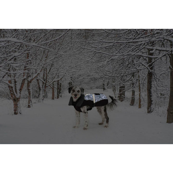 V4H277C3DBE87E9D463995E7B277F270817R5332432P2