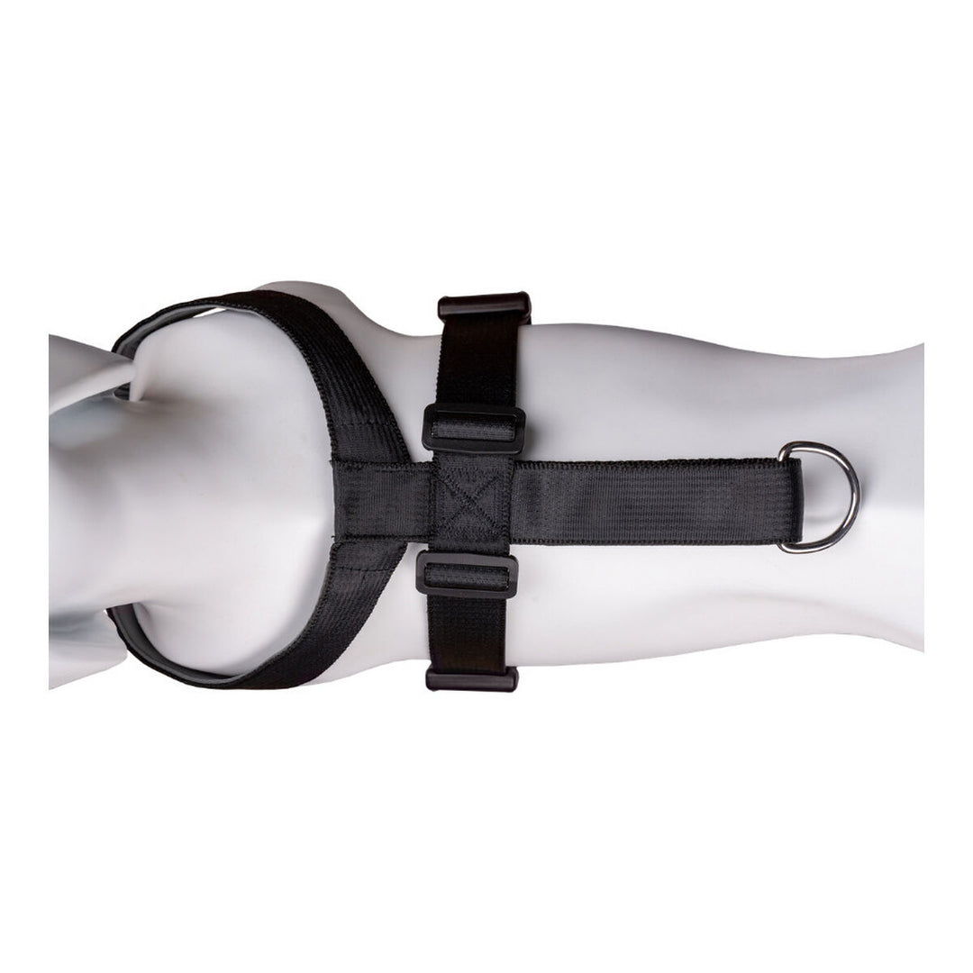 V8H0CF92EB06C2A25C085610E53F601E374R2354083P8