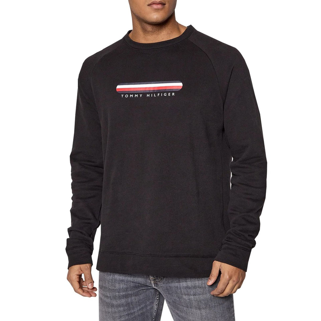 Tommy Hilfiger Sweatshirts