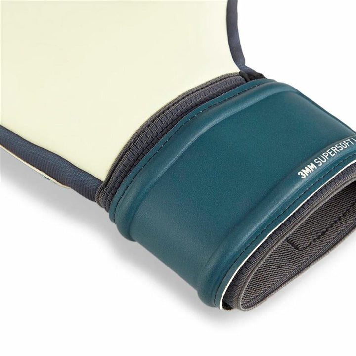 V4HC1F70009ABEE4B6801D6F8C40D78501AR5493789P4