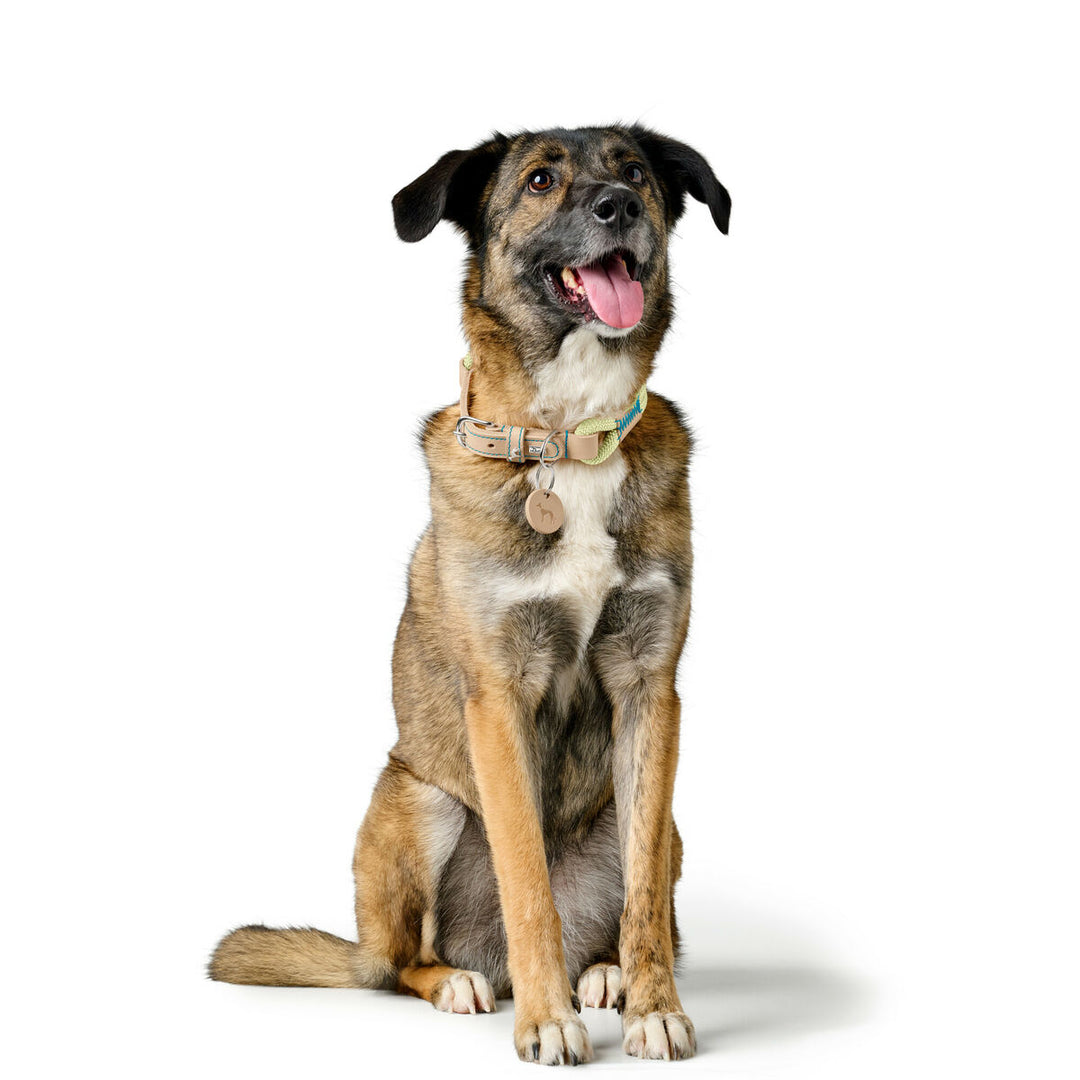 V3HB5D66971CADF5DB3A589C8F864CF8D69R5575506P5