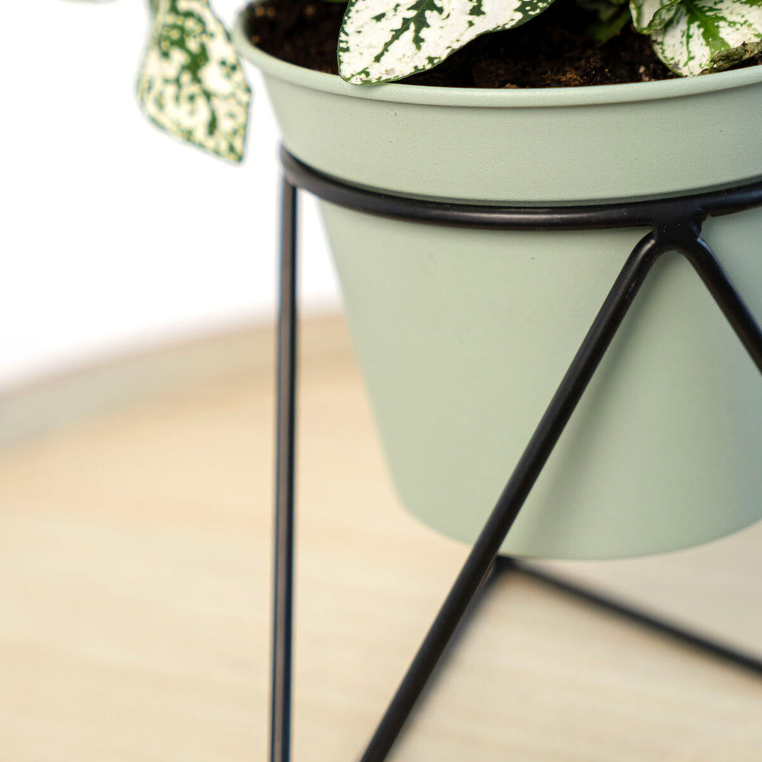 V4H2E53E67B4164C42D5E174130D2E24B14R5315048P6