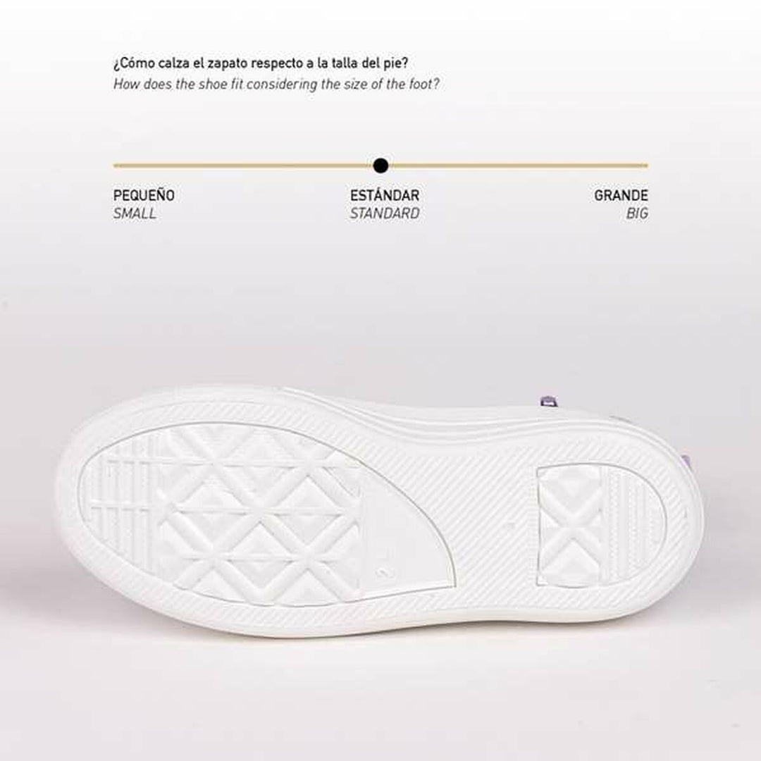 V3HB0C173134244817DDC261EE6BC9F381ER5554382P3