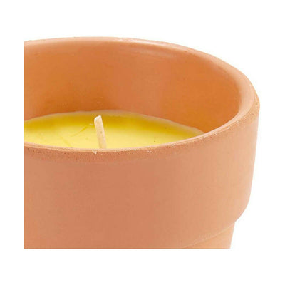Candle Citronela 8 x 8 x 8 cm (12 Units)