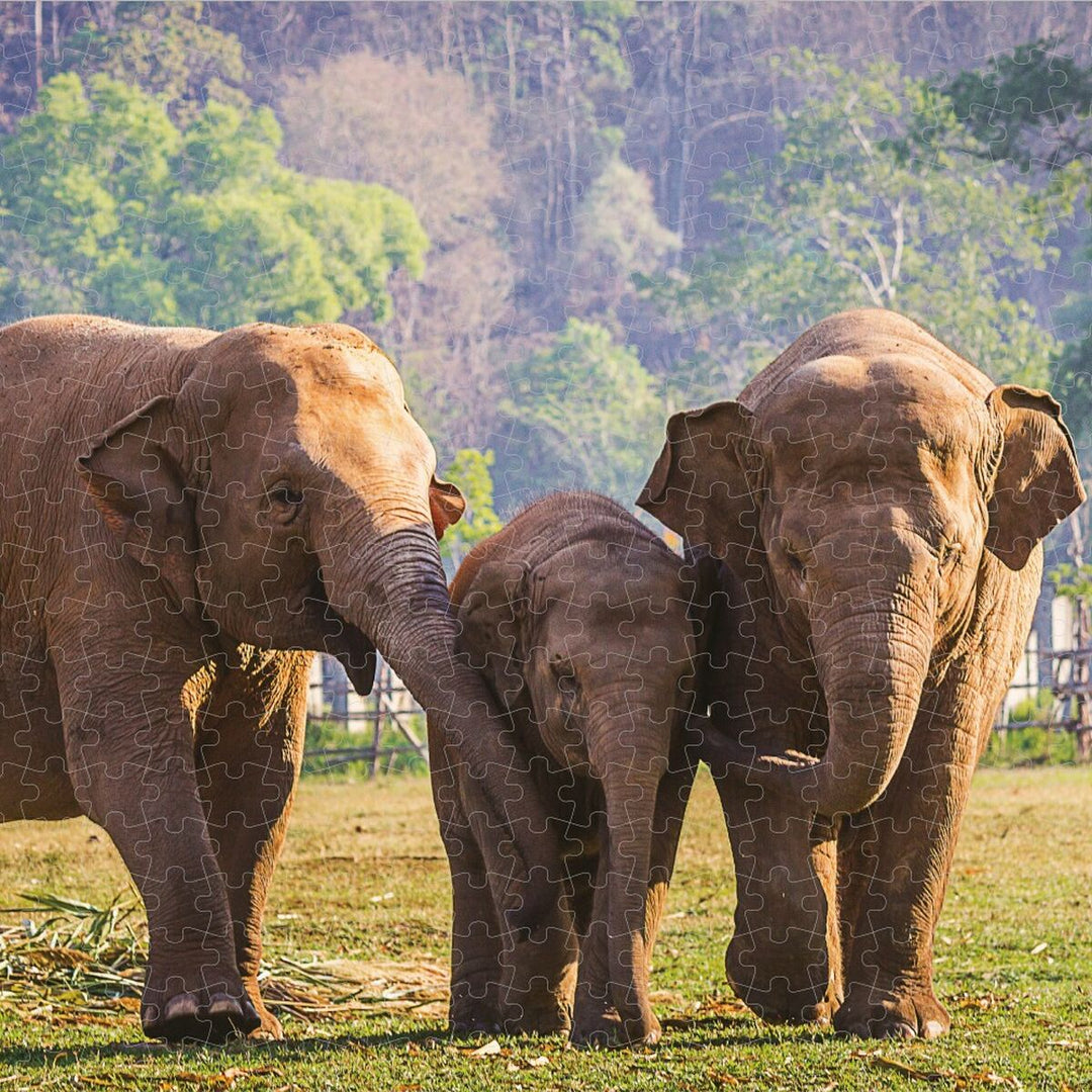 V6HCC8A535919F01AE8519472FAF816D253R5408334P5