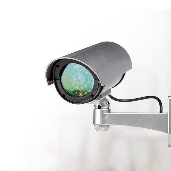 Surveillance video cameras