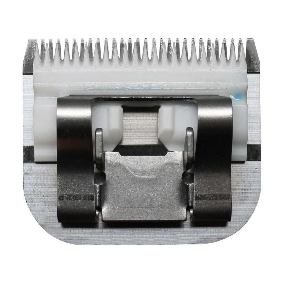 V5H06B97E581E51EF9FD9D4B58C7A265A01R5554766P4