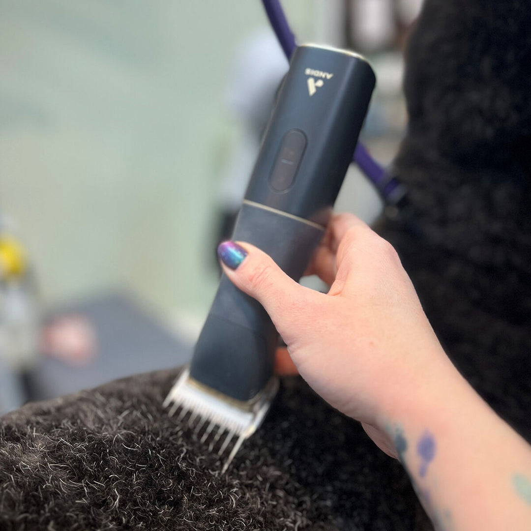 V3H89AB1E3D1DD0E2E4771D32FC300A3CF0R5588706P4