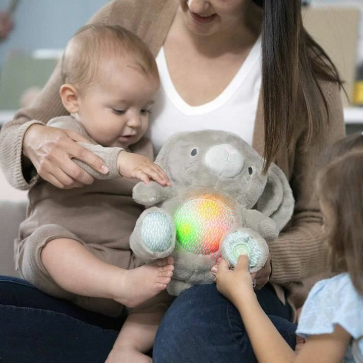 Fluffy toy Ingenuity