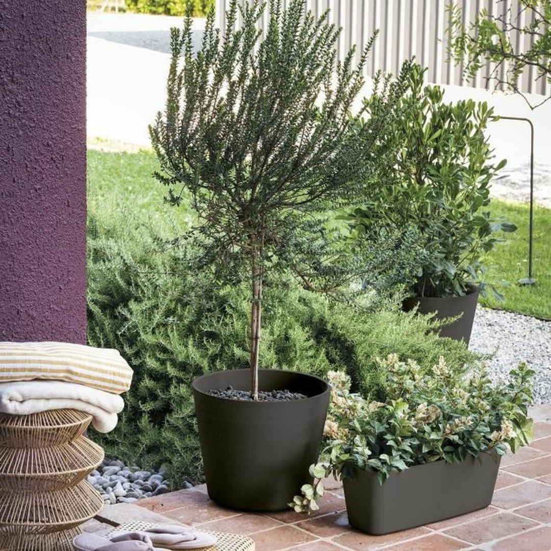 Plant pot Deroma