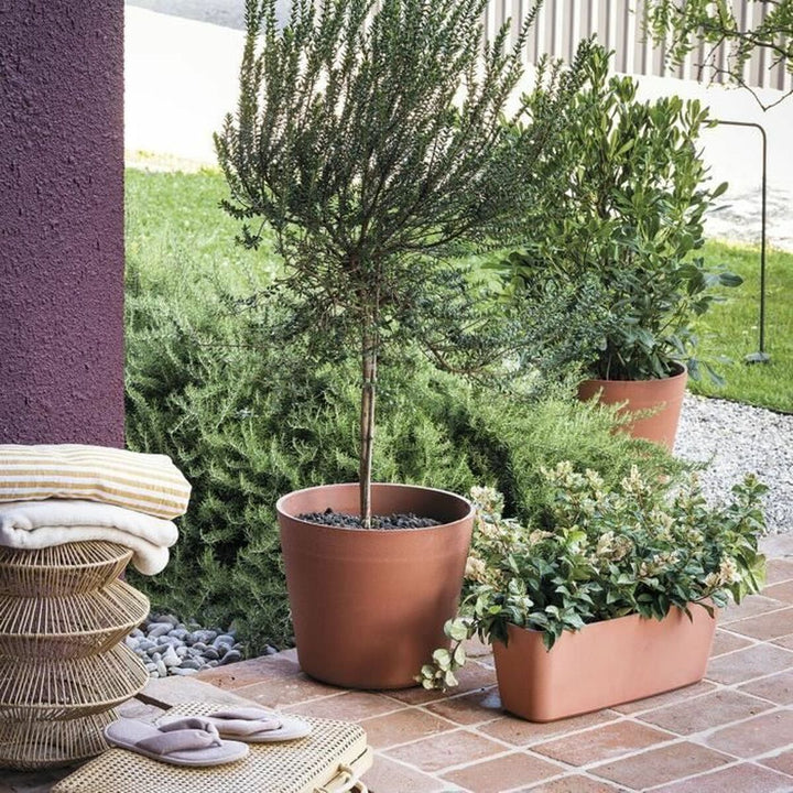 Plant pot Deroma