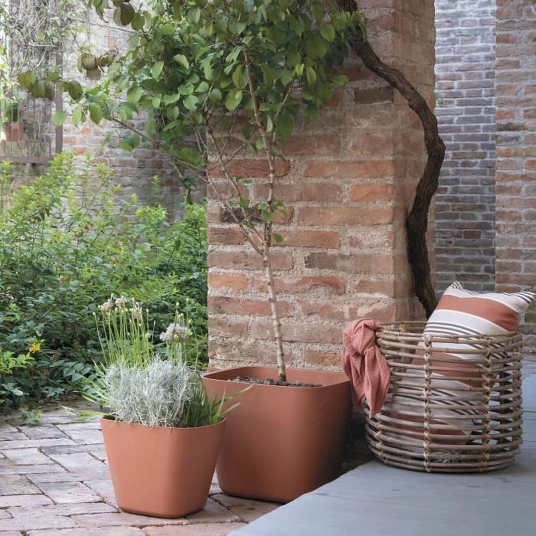 Plant pot Deroma