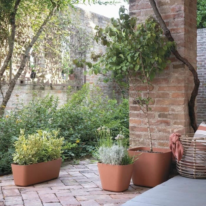 Plant pot Deroma