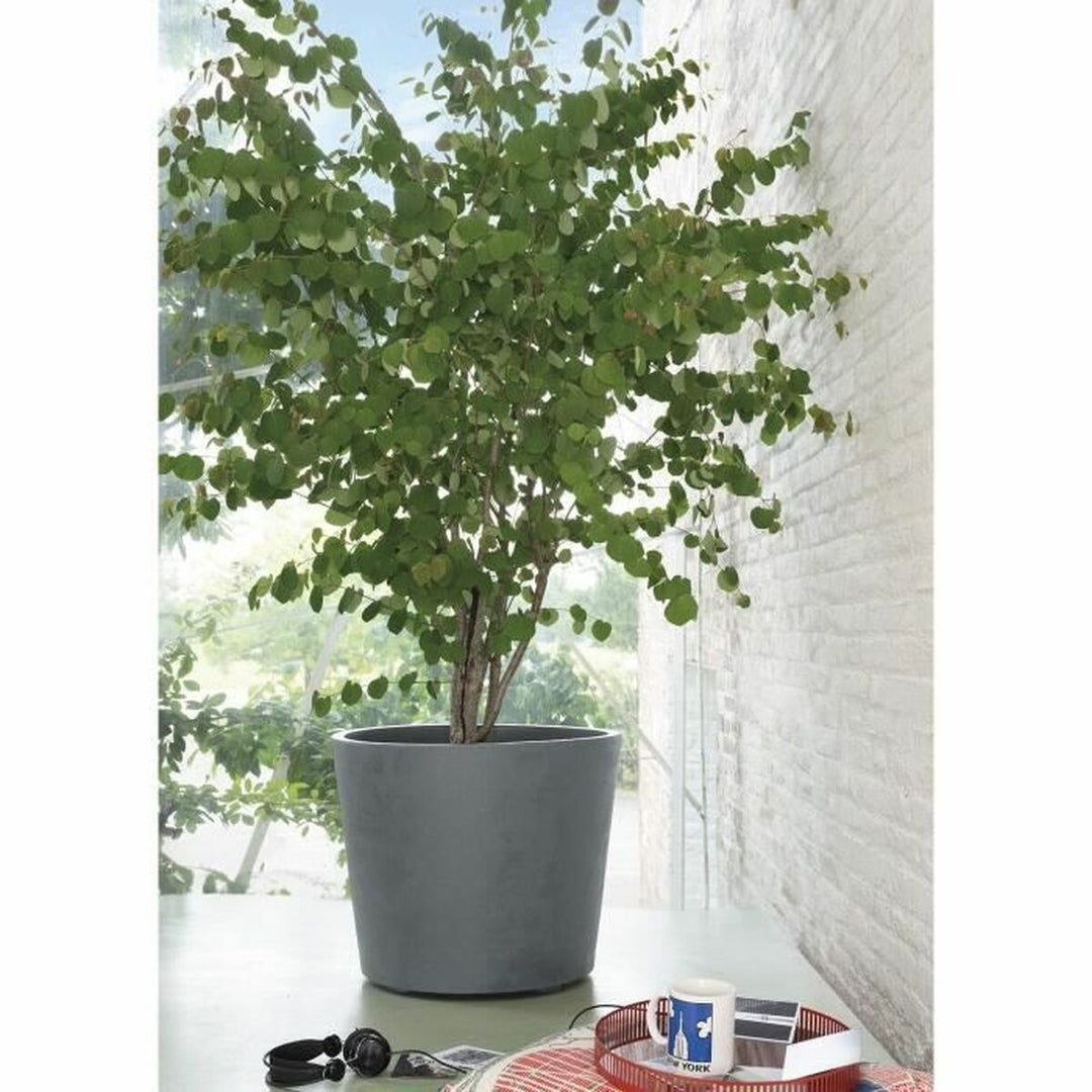 Plant pot Deroma