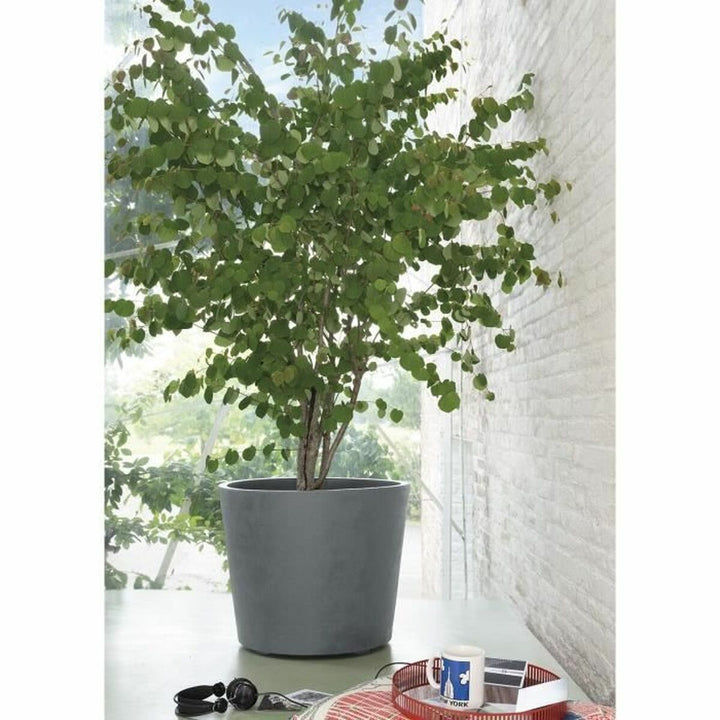 Plant pot Deroma