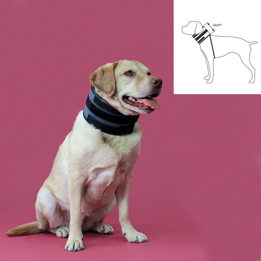 V13HD774CE93D63B57A568DF1B30D07CB5DDR4073035P2