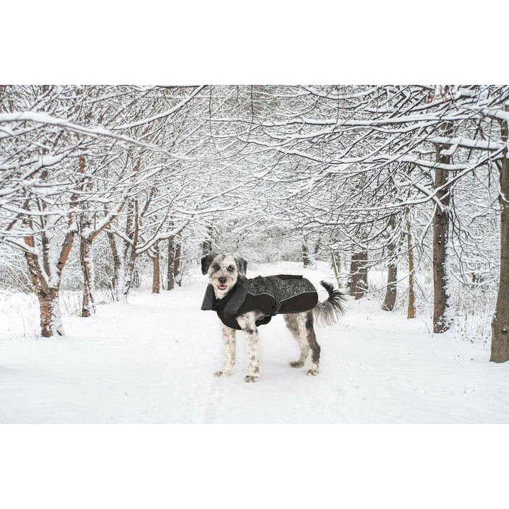 V4HBDF117C76460A2BD5842C757FC92A43AR5332420P8