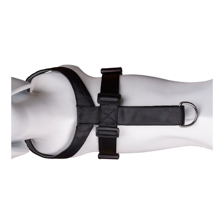 V8H00B99E9F1B05606B668C443829B0CDF4R2354217P8