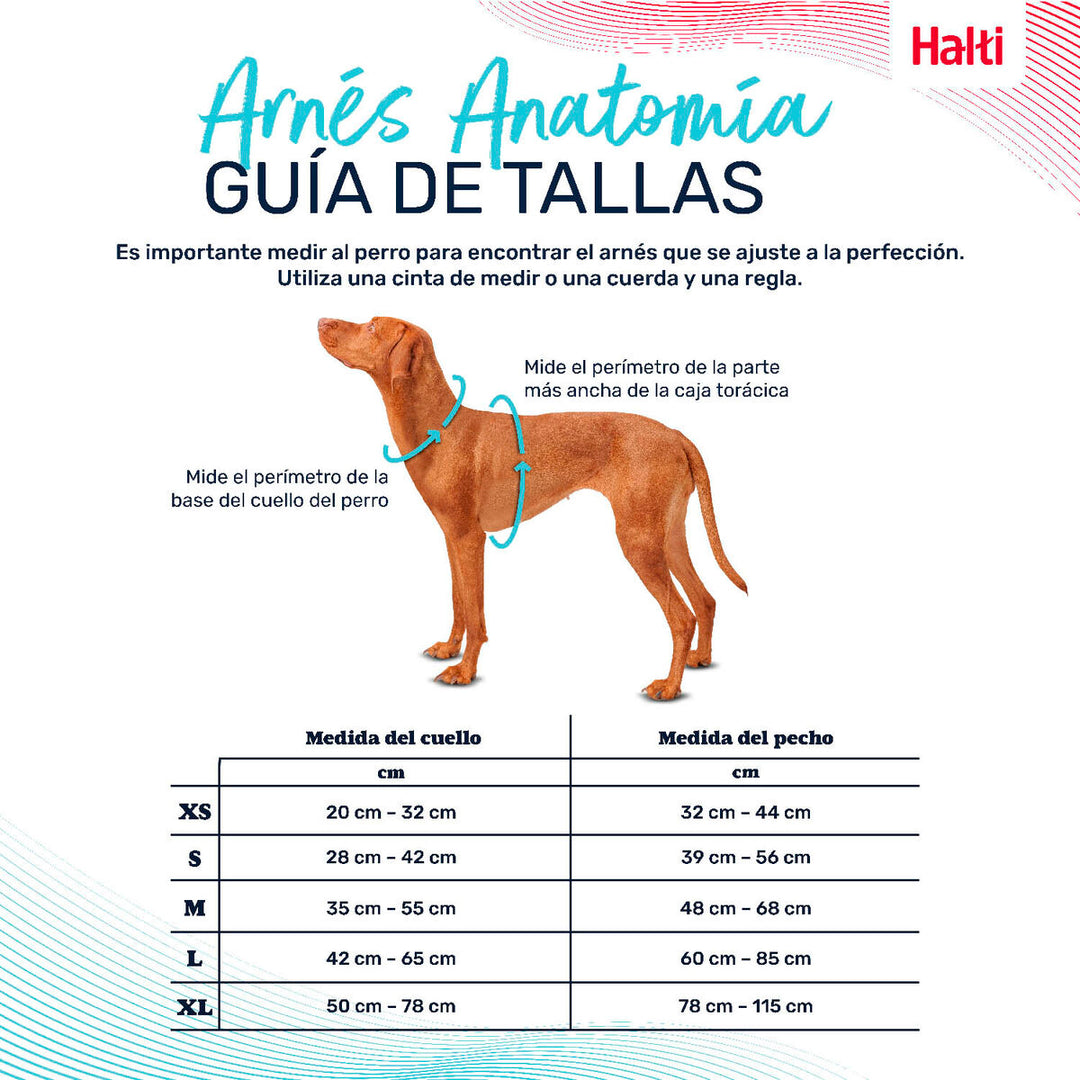 V4H490C5ADF52EDB8C97AF91BDBA83226A9R5328470P4