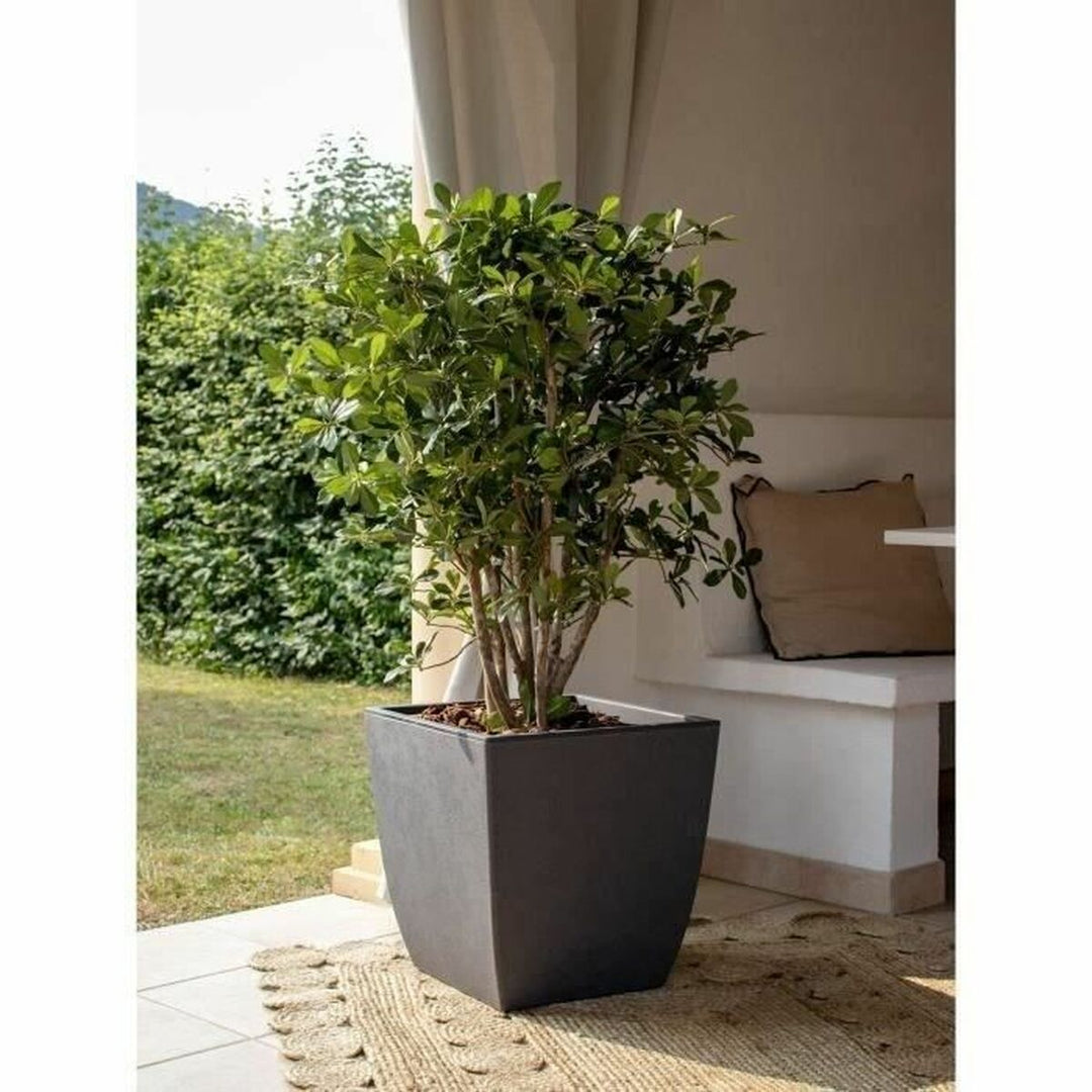 Plant pot EDA