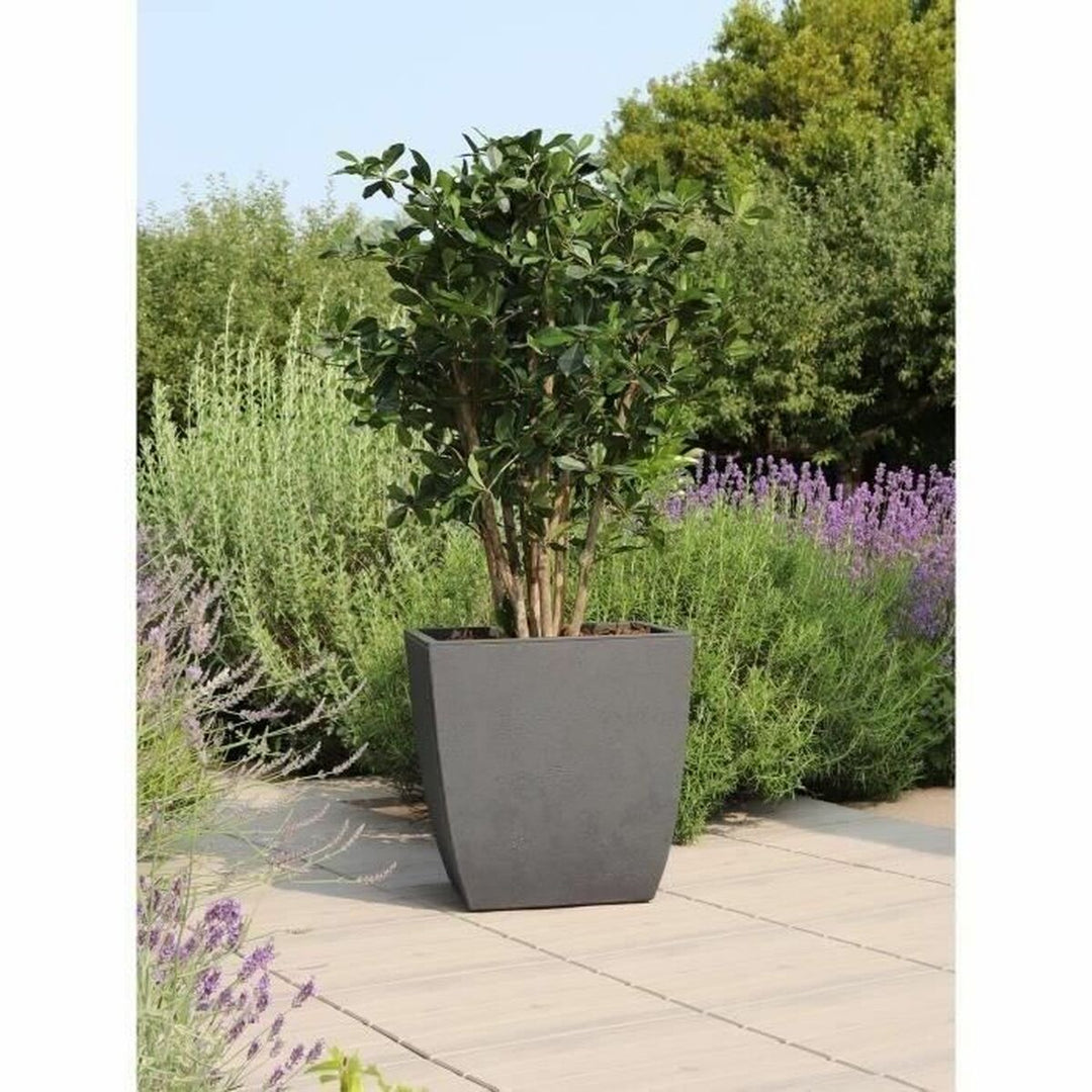 Plant pot EDA