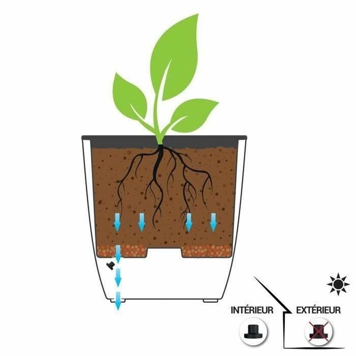 Plant pot EDA