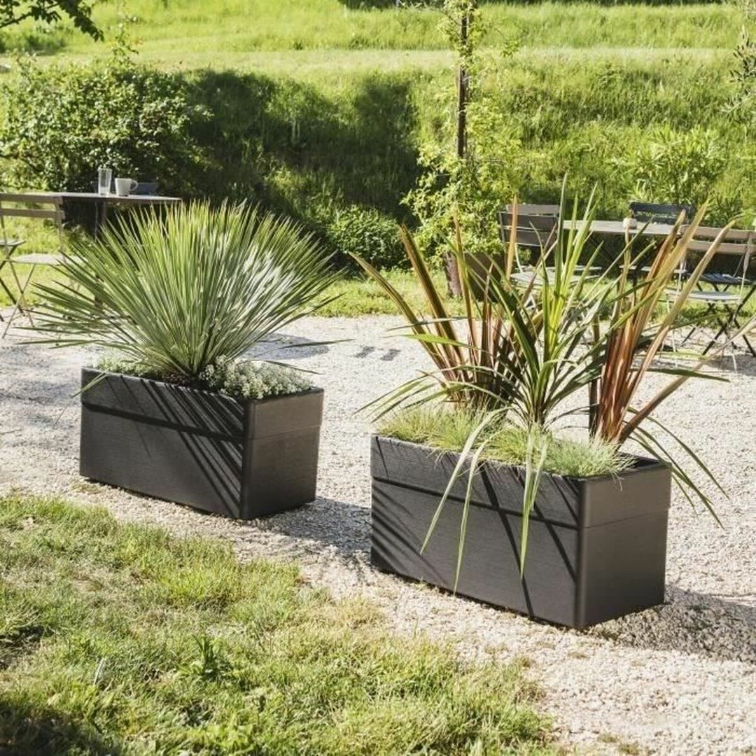 Plant pot EDA