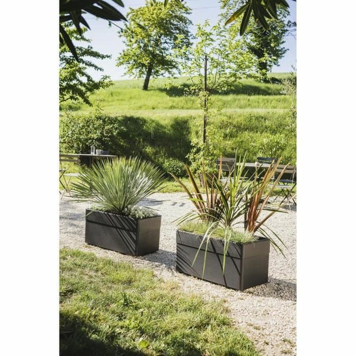 Plant pot EDA