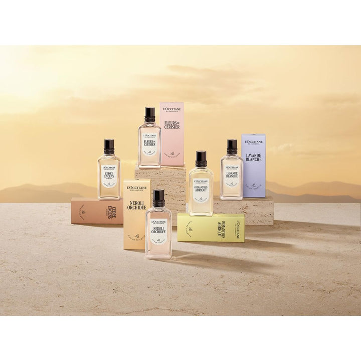 Women's Perfume L'Occitane En Provence NÉROLI & ORCHIDÉE
