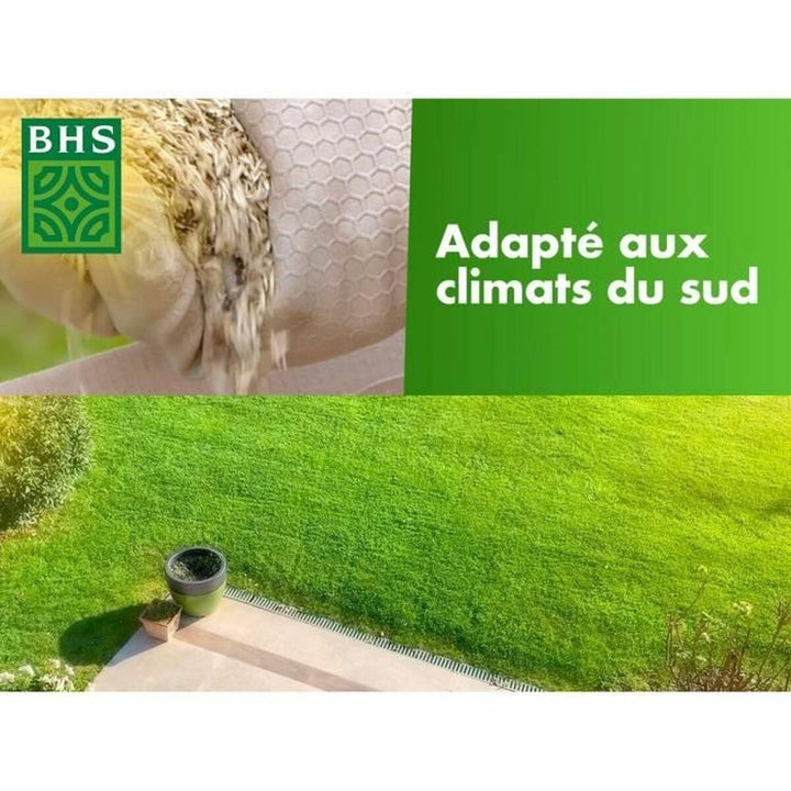 Seeds BHS 10 kg