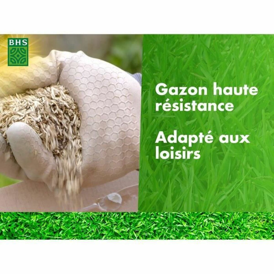 Seeds BHS 10 kg