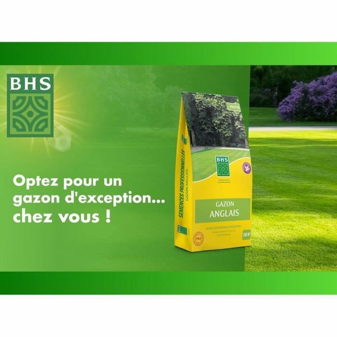 Seeds BHS 5 kg