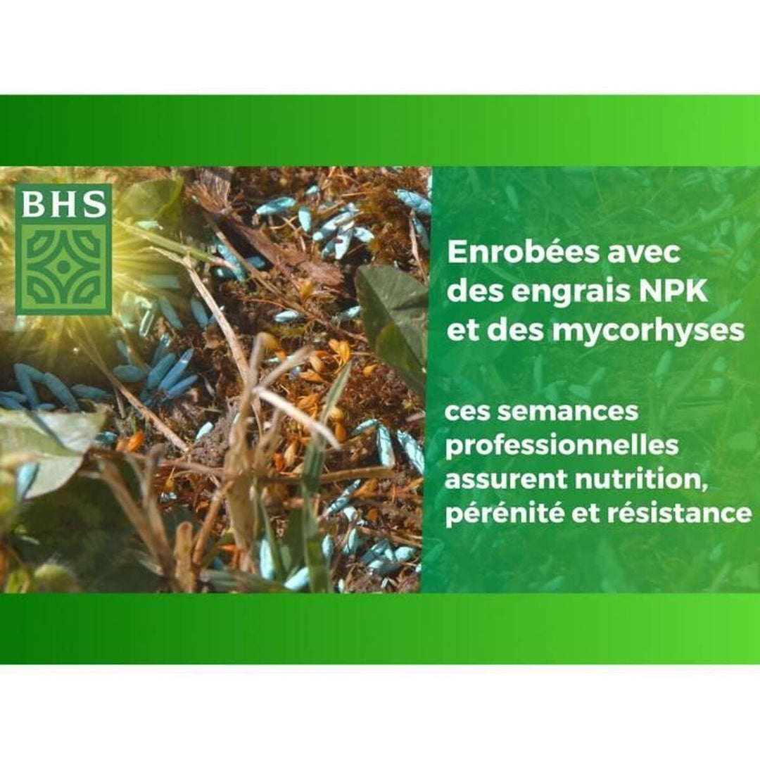 Seeds BHS 1 kg