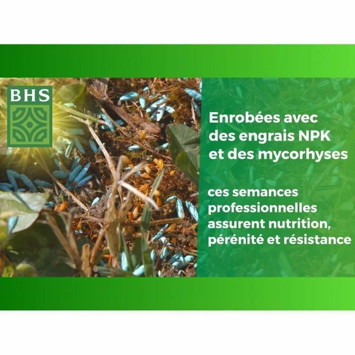 Seeds BHS 1 kg