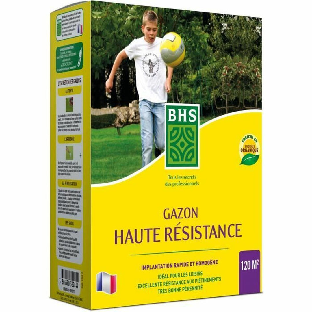 Seeds BHS 3 Kg