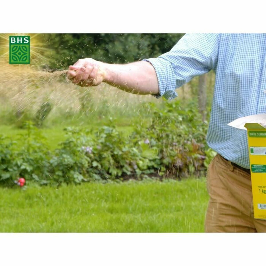 Seeds BHS 3 Kg