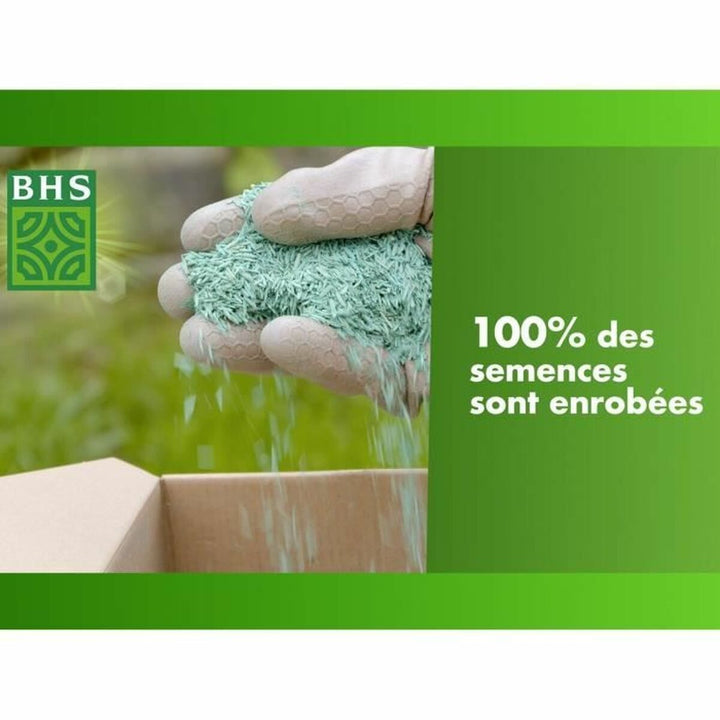 Seeds BHS 10 kg