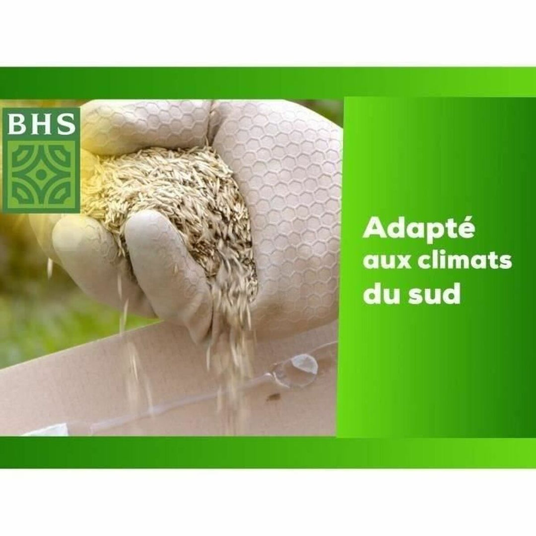 Seeds BHS 10 kg