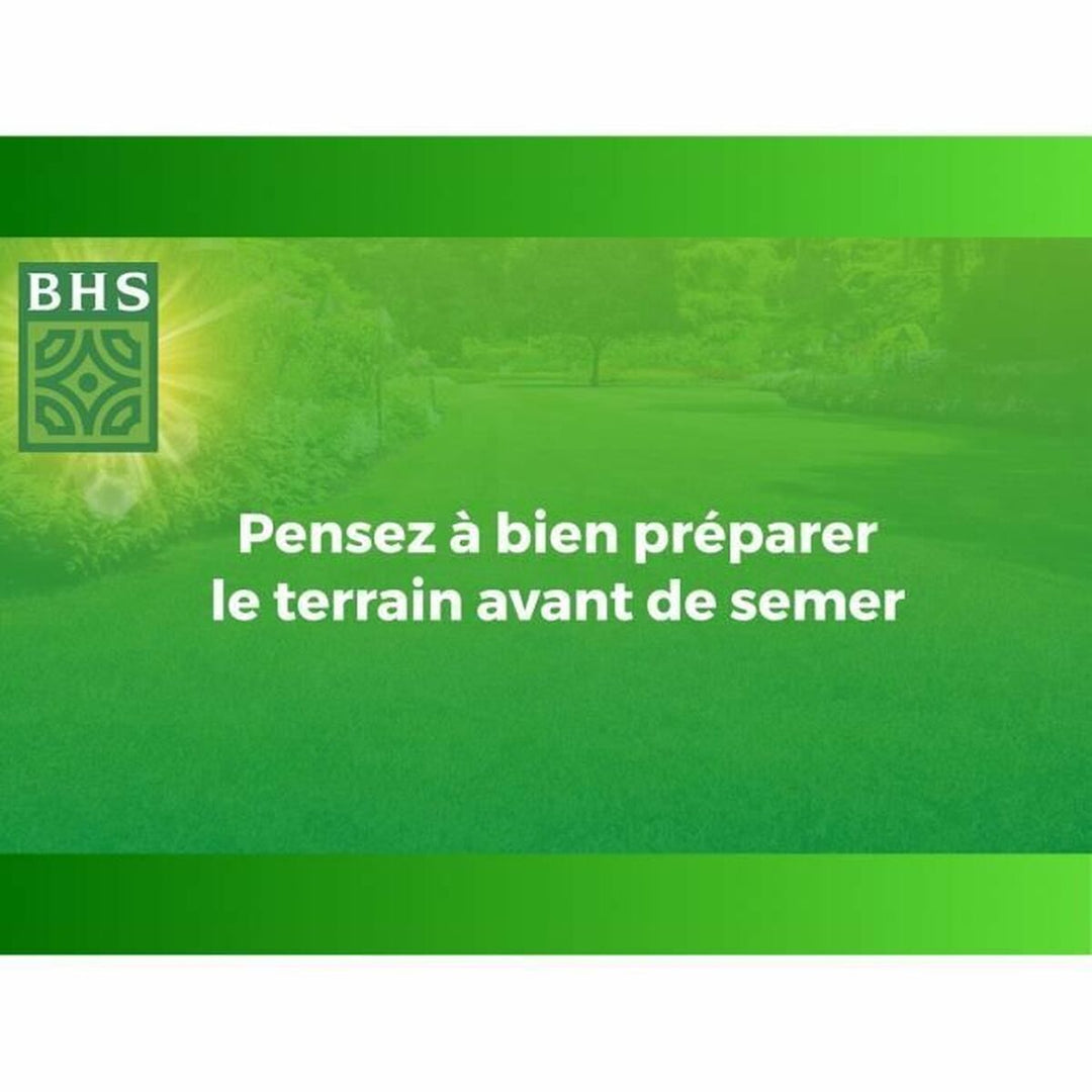 Seeds BHS 10 kg