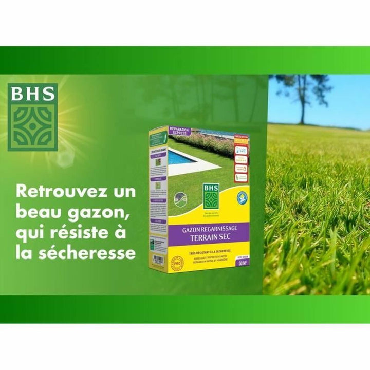 Seeds BHS 1 kg