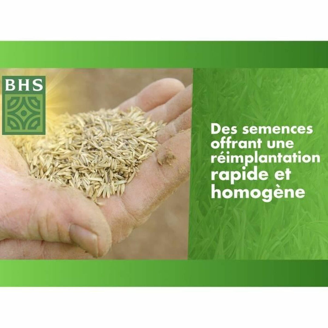 Seeds BHS 1 kg