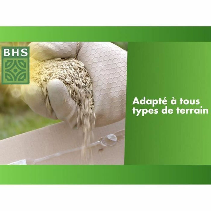Seeds BHS