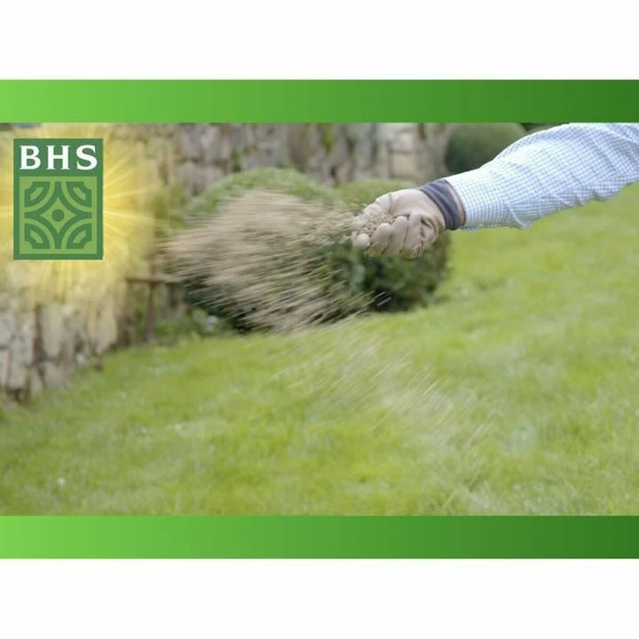 Seeds BHS