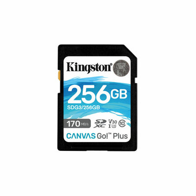 Carte Mémoire SD Kingston SDG3/256GB