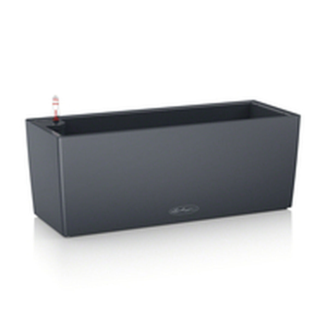 Plant pot Lechuza Black Grey polypropylene