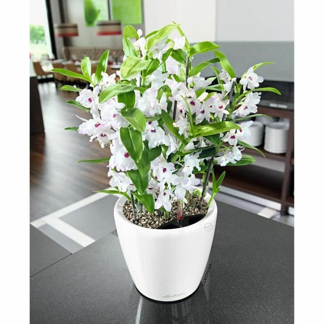 Plant pot Lechuza
