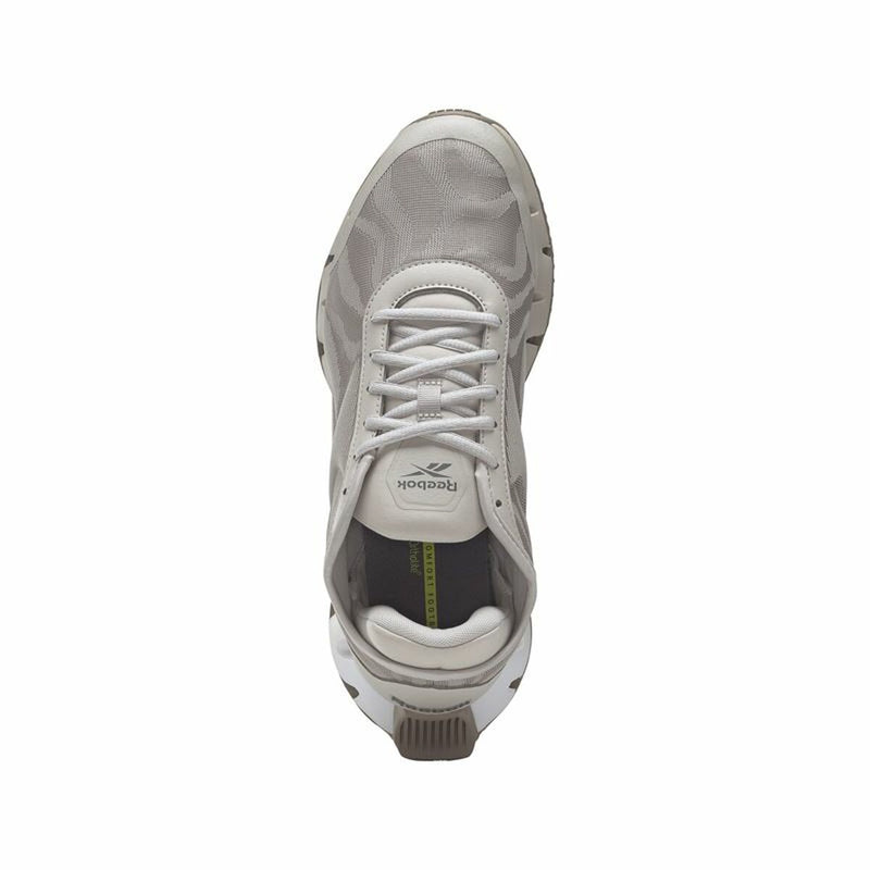 Chaussures de Running pour Adultes Reebok Zig Dynamica 3 Gris