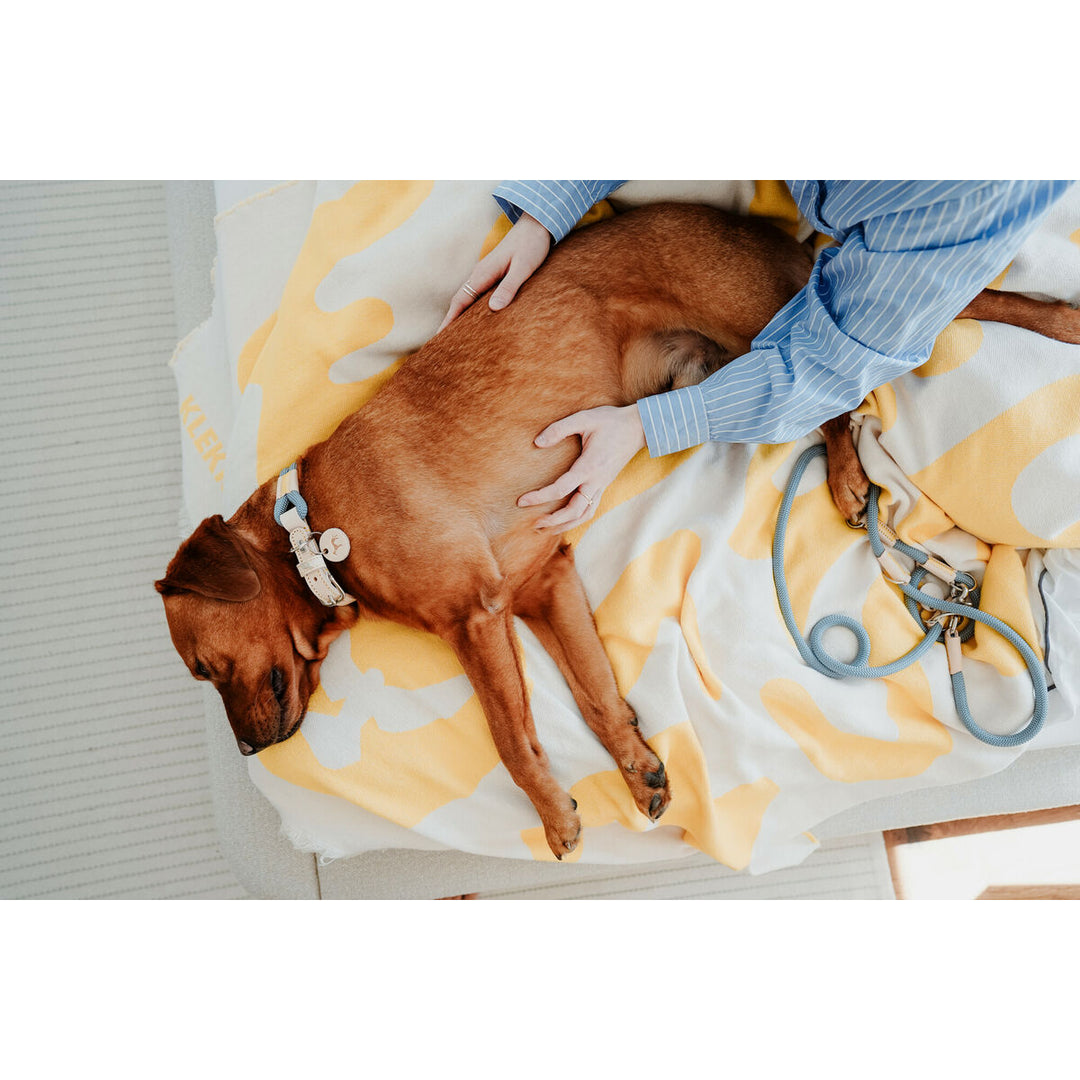 V4H94B02227748DA50F0BE1ED661F79F0C8R5575486P3