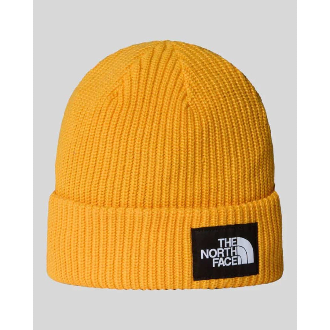 The North Face Caps